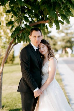 Gelin ve damat gün batımında parkta yürüyor.