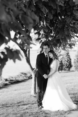 Gelin ve damat gün batımında parkta yürüyor.