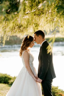 Gelin ve damat gün batımında parkta yürüyor.