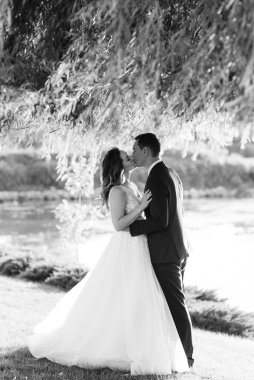 Gelin ve damat gün batımında parkta yürüyor.