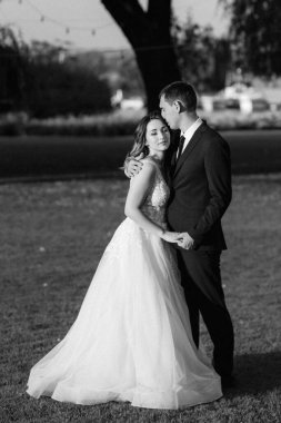 Gelin ve damat gün batımında parkta yürüyor.