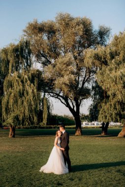 Gelin ve damat gün batımında parkta yürüyor.