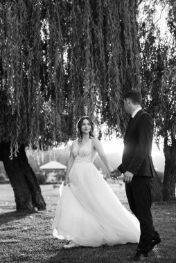 Gelin ve damat gün batımında parkta yürüyor.