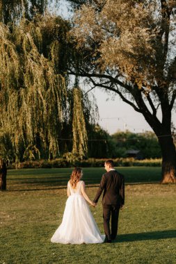 Gelin ve damat gün batımında parkta yürüyor.