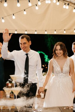 Yeni evlilerin portresi düğün şöleninde başkanlık makamında.