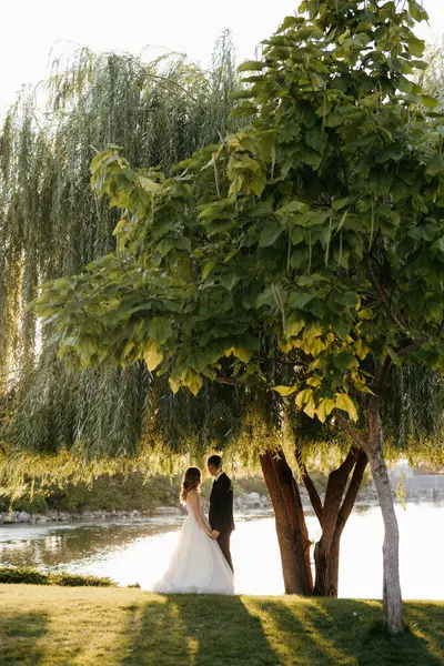 Gelin ve damat gün batımında parkta yürüyor.
