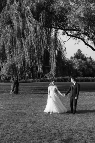 Gelin ve damat gün batımında parkta yürüyor.