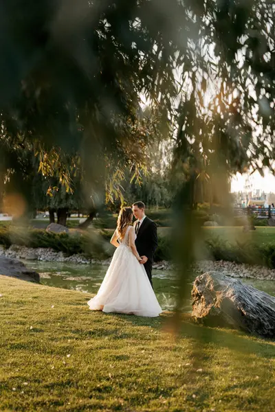Gelin ve damat gün batımında parkta yürüyor.