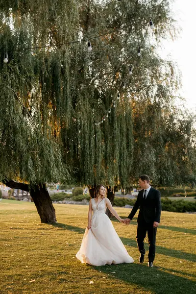 Gelin ve damat gün batımında parkta yürüyor.