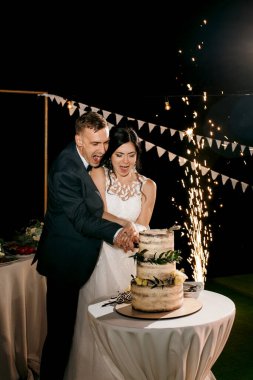 newlyweds happily cut, laugh and taste the wedding cake