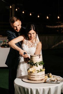 newlyweds happily cut, laugh and taste the wedding cake