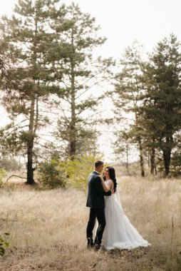 Genç bir çift, bir adam ve bir kız nehir kenarındaki yeşil tepeler boyunca yürüyorlar.