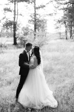 Genç bir çift, bir adam ve bir kız nehir kenarındaki yeşil tepeler boyunca yürüyorlar.