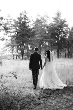 Genç bir çift, bir adam ve bir kız nehir kenarındaki yeşil tepeler boyunca yürüyorlar.