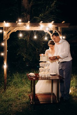 newlyweds happily cut, laugh and taste the wedding cake