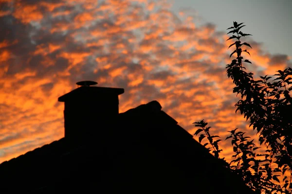 赤い雲と暗い空に対するシルエットとしての家や茂み — ストック写真