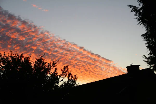 Haus Und Büsche Als Silhouette Vor Dunklem Himmel Mit Roten — Stockfoto