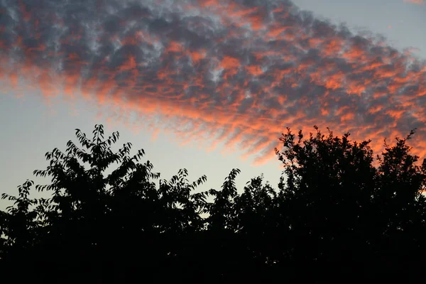 赤い雲と暗い空に対するシルエットとしての家や茂み — ストック写真