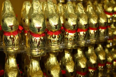 Paskalya 2025 için paskalya tavşanlarının yakın çekimleri.