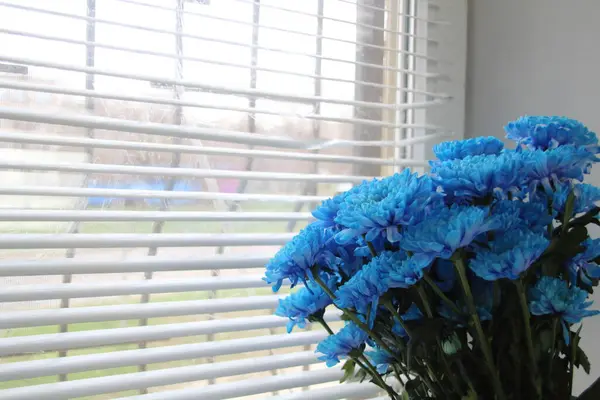 Pencerenin yakınındaki mavi astar buketinin dikey fotoğrafı. Penceredeki beyaz panjurlar.