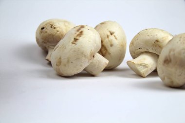 Beyaz arka planda şampiyonlar. Nesneler grubu - mantarlar.