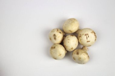 Mantarlar beyaz arkaplanda bir yığın halinde yatar..