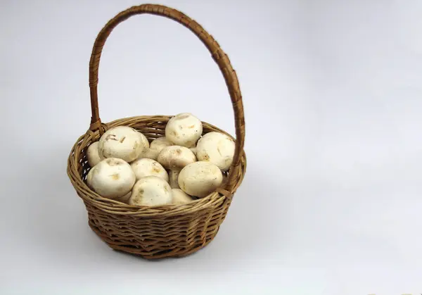 Beyaz arka planda, sepetin içinde toplanmış mantarlar var.