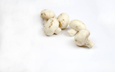 Beyaz arka planda mantarlar. Beslenme teması