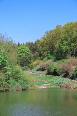 Doğanın doğal görünümü, ön planda bir göl. Arkasında bir orman ve bir yol var.