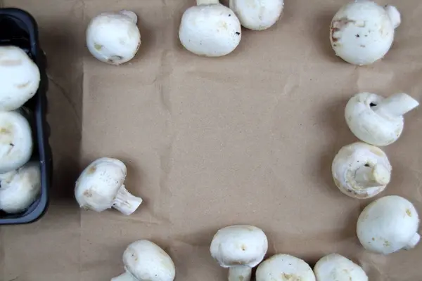 Beyaz şampiyonlar arka planda dağılmış durumda. Metin için boşluk