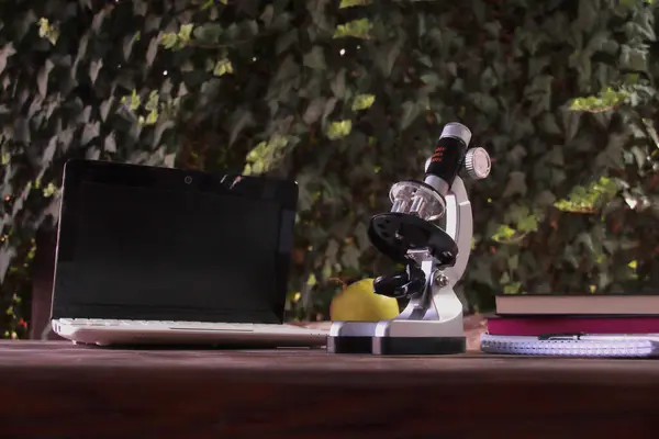 Açık havada öğrenme, mikroskoba odaklan