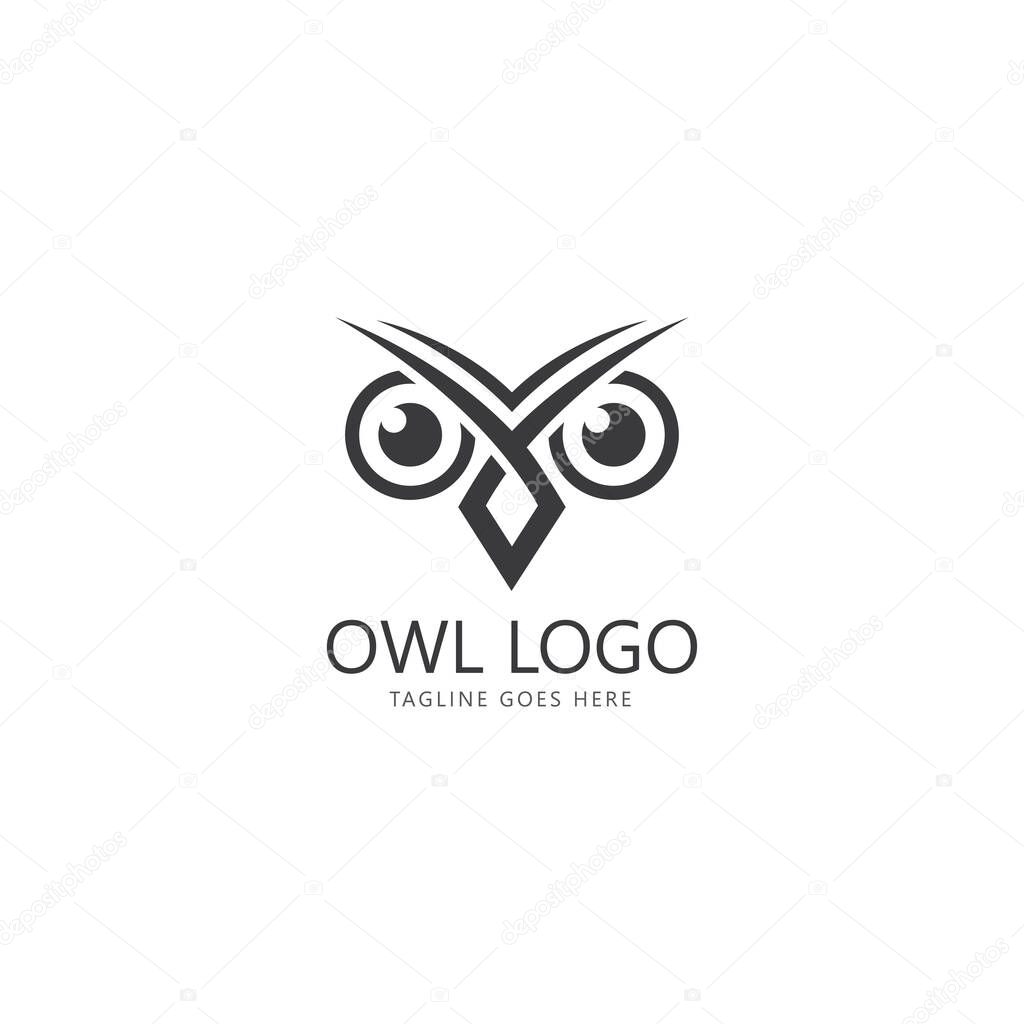 Owl eye logo design template