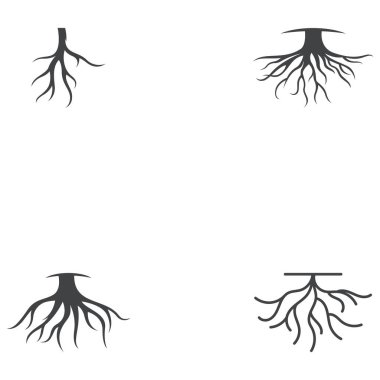 Kök vektör illüstrasyon şablon tasarımı