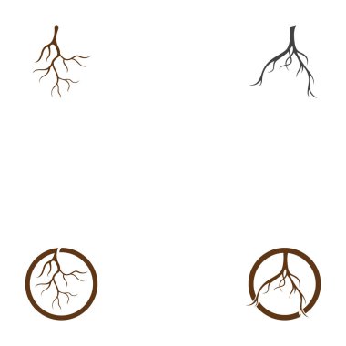 Kök vektör illüstrasyon şablon tasarımı