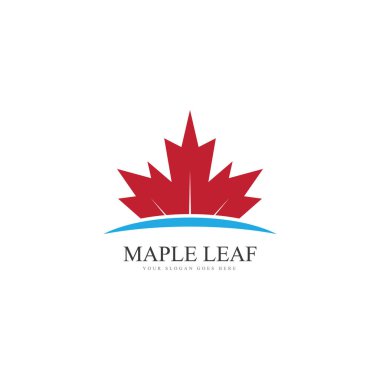 Akçaağaç yaprağı logosu vektör ikonu illüstrasyon akçaağaç yaprağı illüstrasyon Kanada vektör sembolü kırmızı akçaağaç yaprağı Kanada sembolü kırmızı akçaağaç yaprağı yaprağı