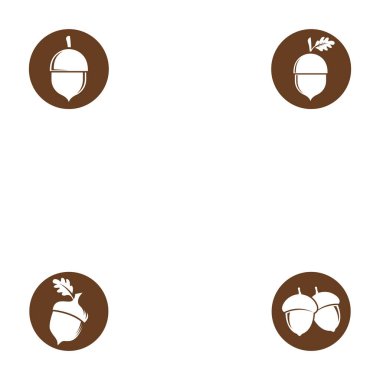 meşe palamudu vektör çizim şablonu