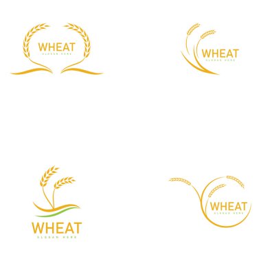 Tarım buğday logosu vektör ikonu tasarımı