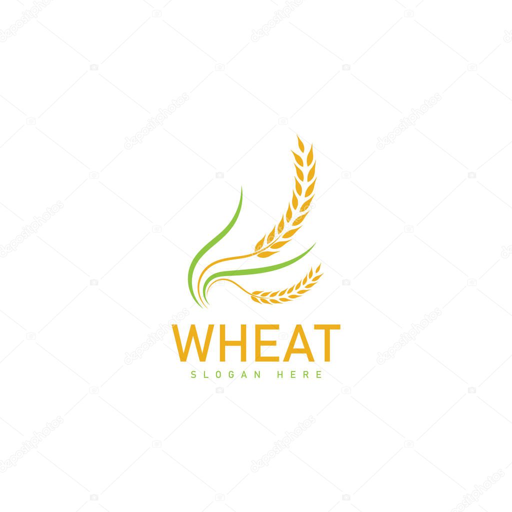 Agriculture wheat Logo Template vector icon design