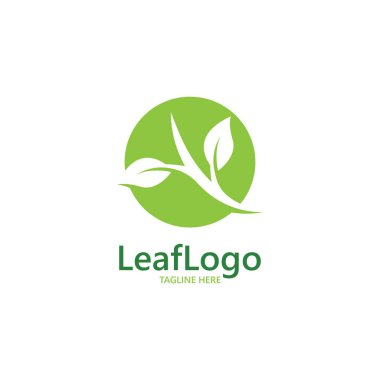 Yaprak Logosu Doğa Şablonu çizimi