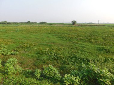  Doğa, en geniş anlamda, doğal, fiziksel, maddi dünya ya da evrendir. 