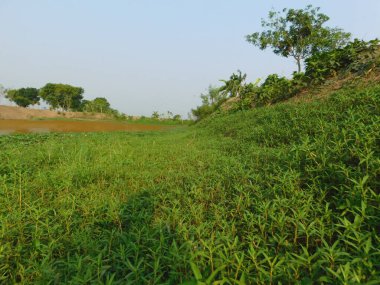  Doğa, en geniş anlamda, doğal, fiziksel, maddi dünya ya da evrendir. 