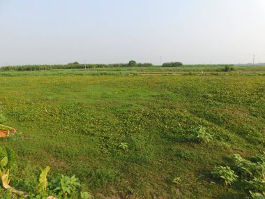  Doğa, en geniş anlamda, doğal, fiziksel, maddi dünya ya da evrendir. 