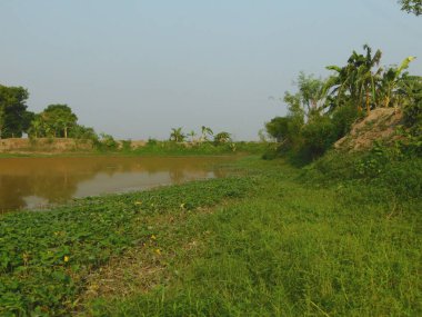  Doğa, en geniş anlamda, doğal, fiziksel, maddi dünya ya da evrendir. 