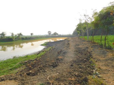 Doğa, en geniş anlamda, doğal, fiziksel, maddi dünya ya da evrendir. 