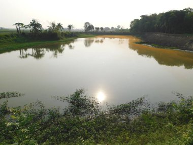  Doğa, en geniş anlamda, doğal, fiziksel, maddi dünya ya da evrendir. 