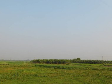  Doğa, en geniş anlamda, doğal, fiziksel, maddi dünya ya da evrendir. 