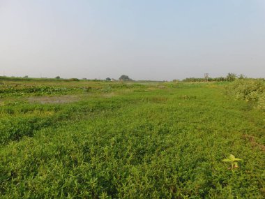  Doğa, en geniş anlamda, doğal, fiziksel, maddi dünya ya da evrendir. 