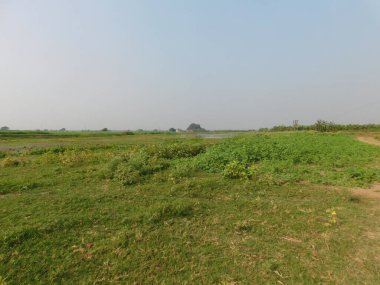  Doğa, en geniş anlamda, doğal, fiziksel, maddi dünya ya da evrendir. 