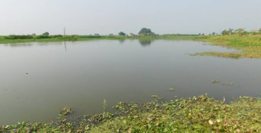  Doğa, en geniş anlamda, doğal, fiziksel, maddi dünya ya da evrendir. 