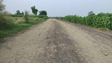 Yolun her iki tarafında kırsal toprak yol ve çimenler var. Kırsal alanlarda yol.